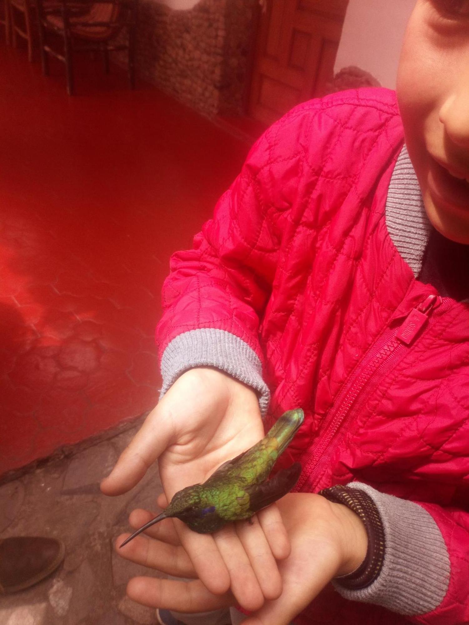 Ecolodge Ccatan Urubamba Eksteriør billede