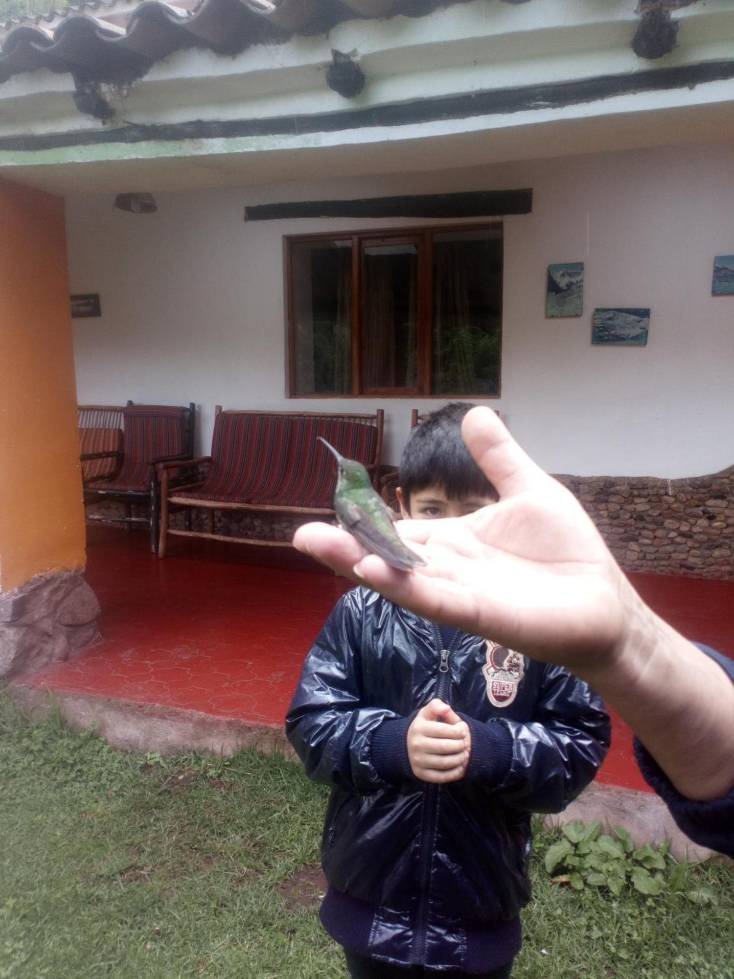 Ecolodge Ccatan Urubamba Eksteriør billede