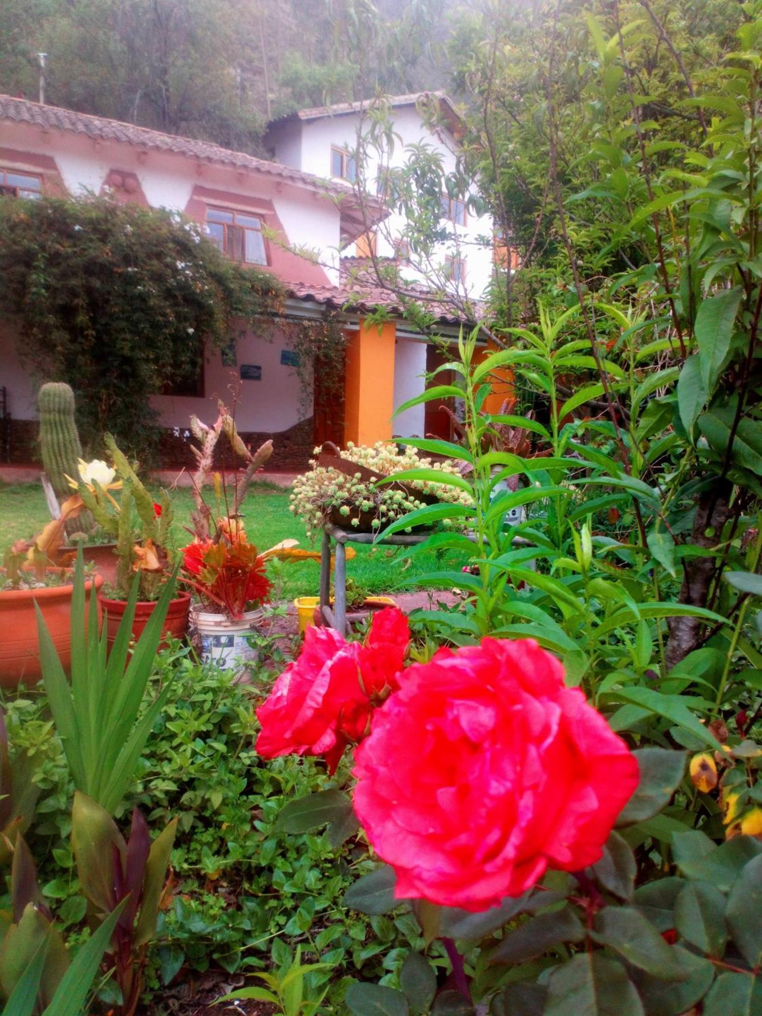 Ecolodge Ccatan Urubamba Eksteriør billede