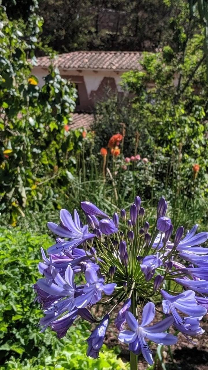 Ecolodge Ccatan Urubamba Eksteriør billede