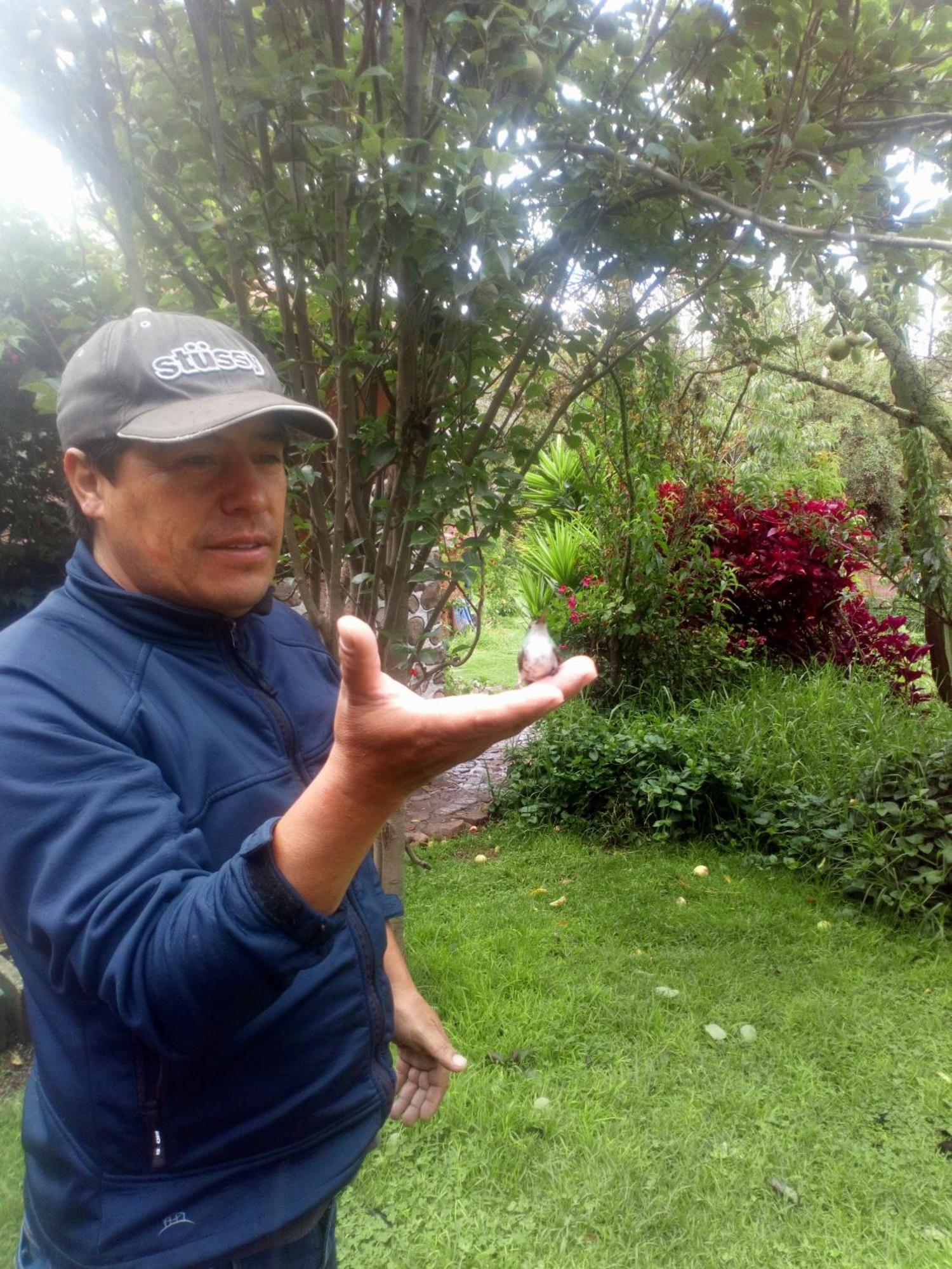 Ecolodge Ccatan Urubamba Eksteriør billede