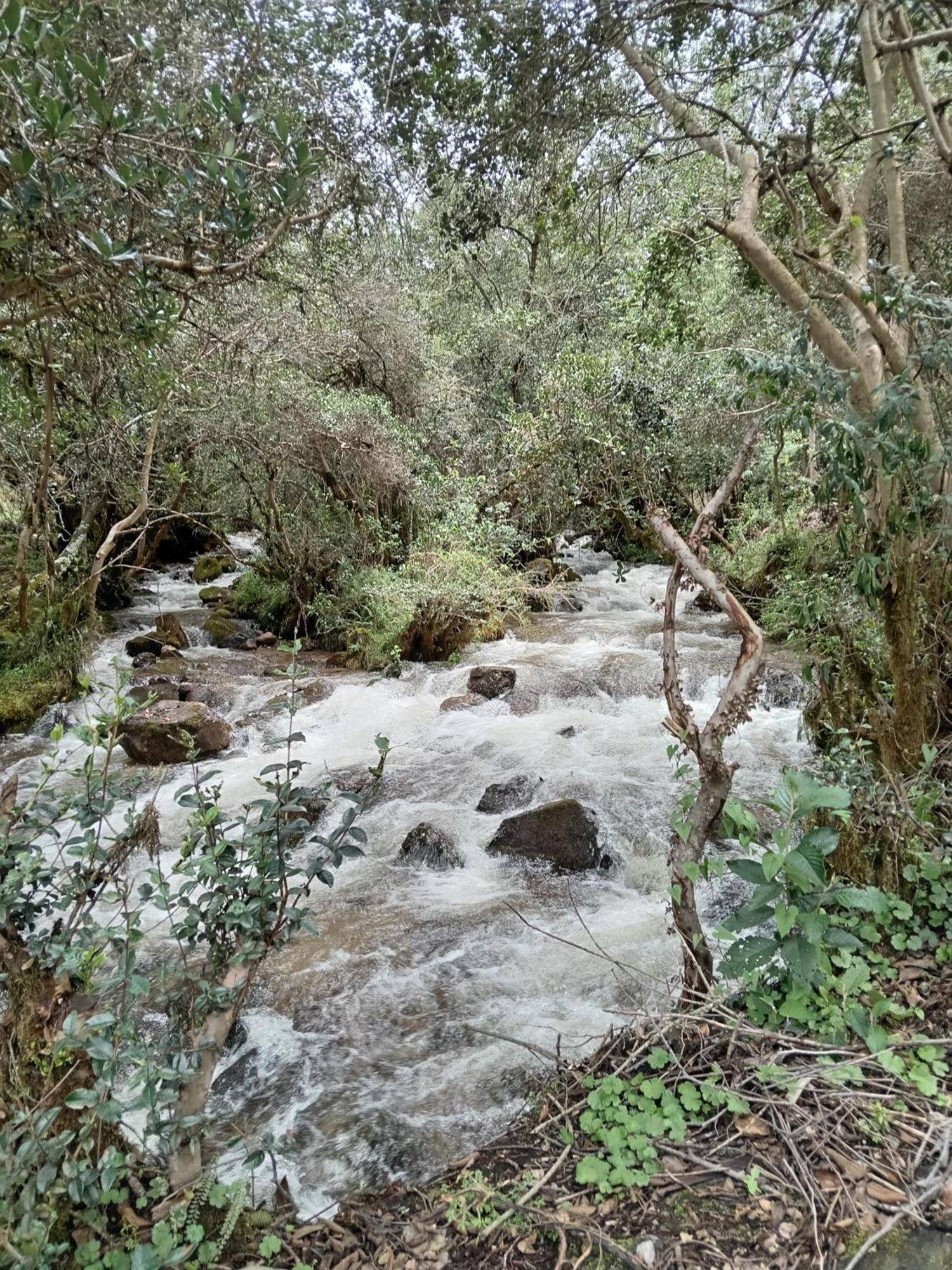 Ecolodge Ccatan Urubamba Eksteriør billede